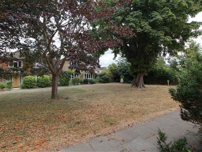 Picture 24